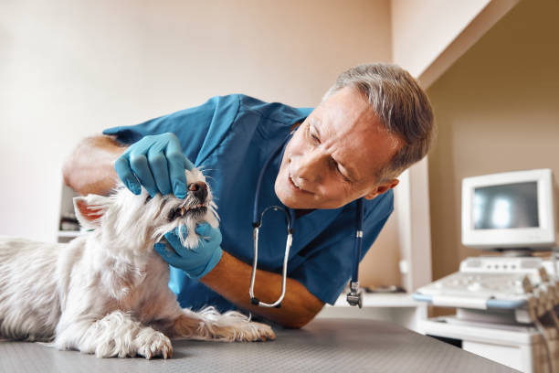 Best Emergency Broken Tooth Repair in Pinebluff, NC